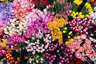 双倍恐惧 《黑相集：心中魔》好友通行证上线